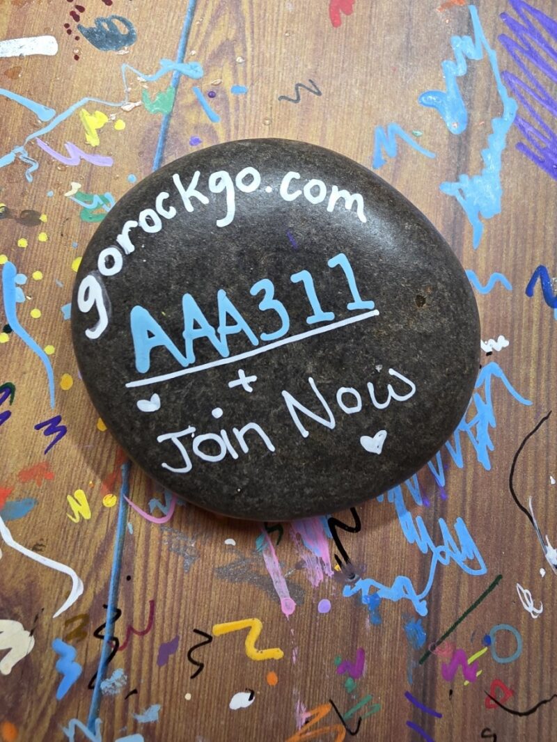 Bottom of a painted rock with a Go Rock Go code.