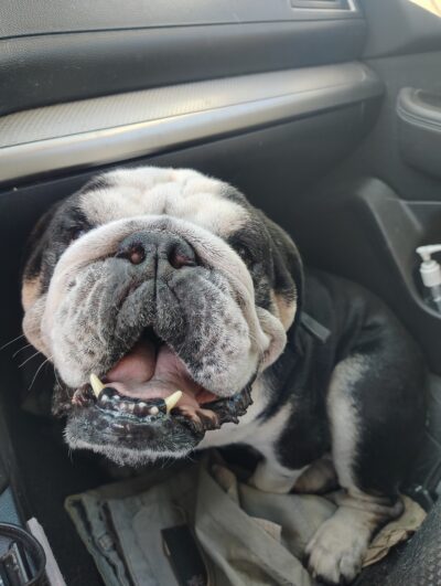 Kaydee09's avatar